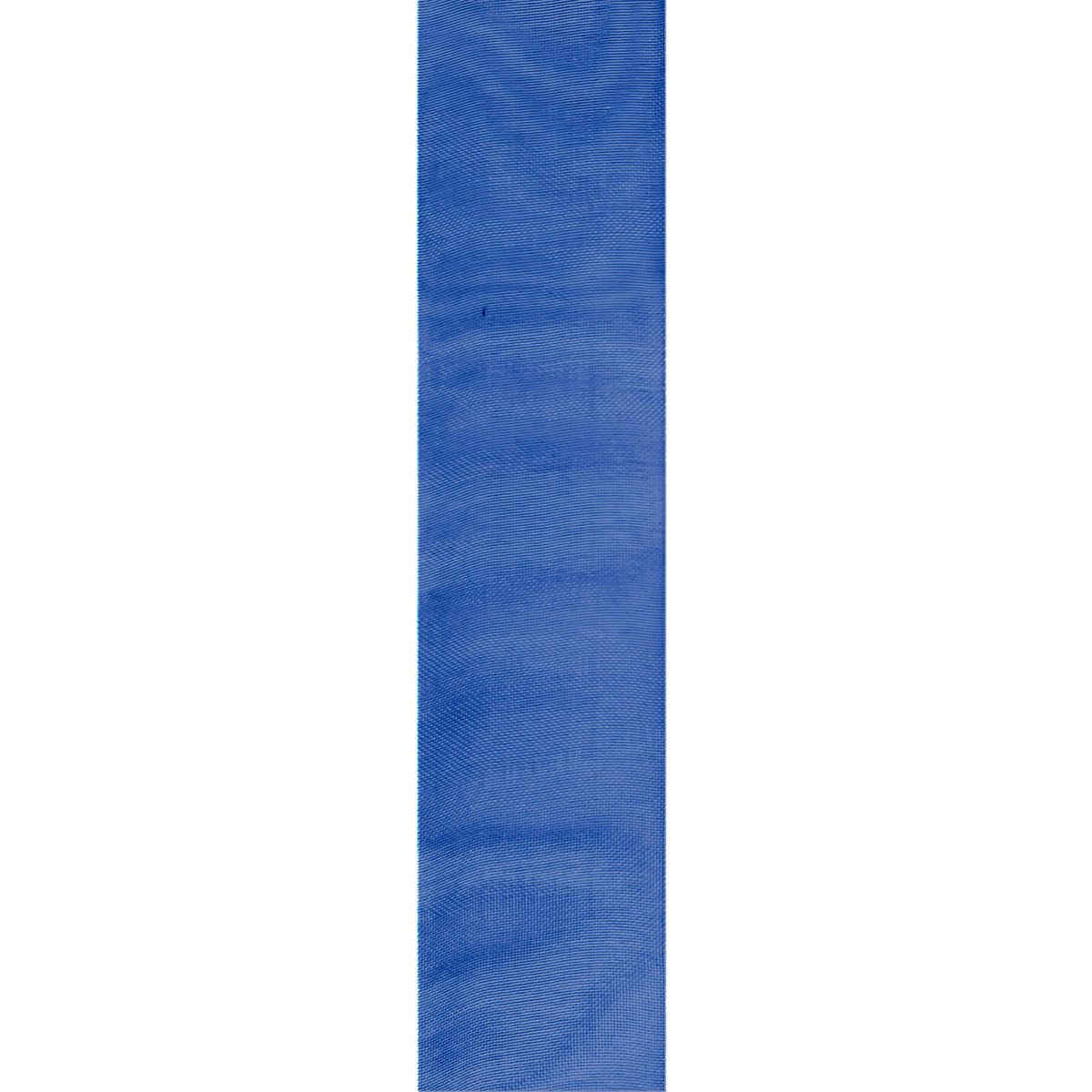 Delphinium #47