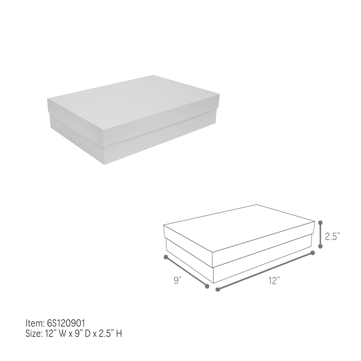 12 x 9 x 2.5in.