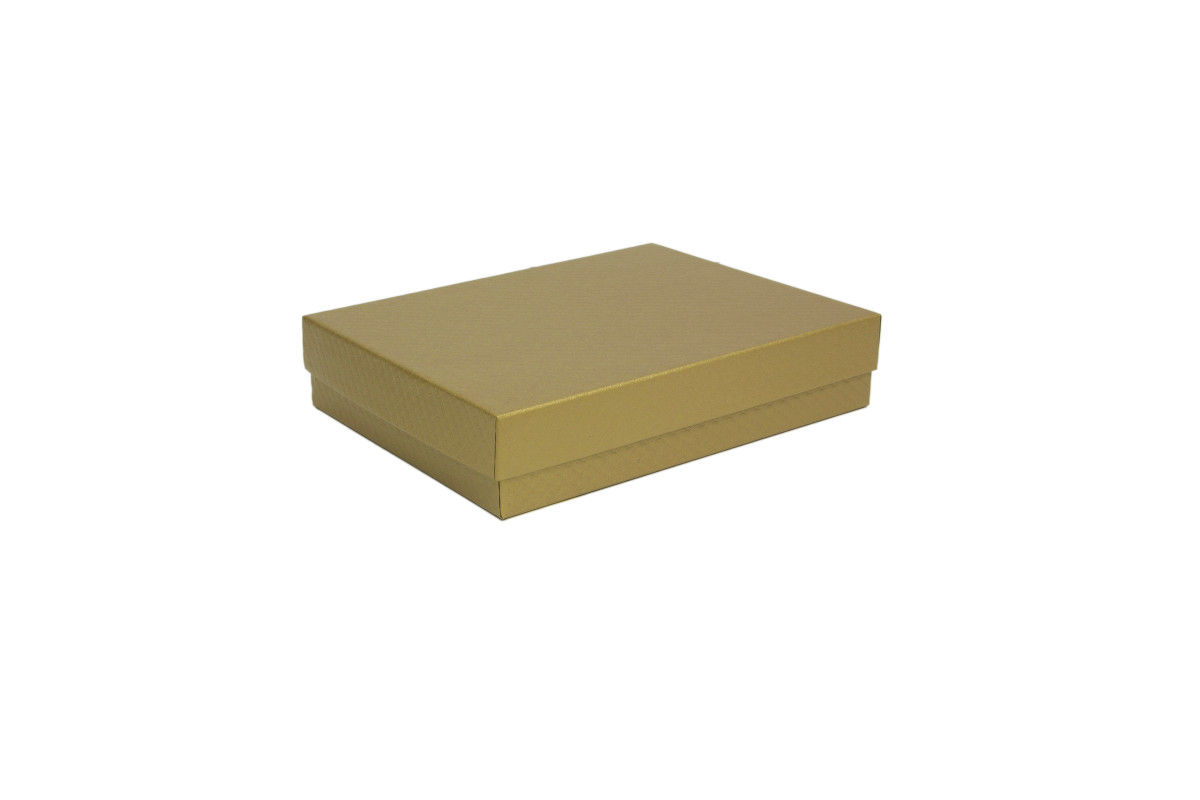 12 x 9 x 2.5in.