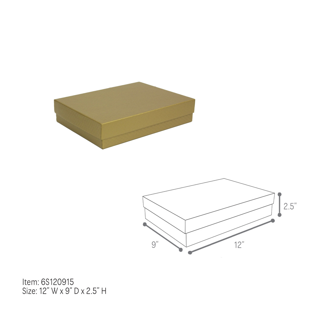 12 x 9 x 2.5in.