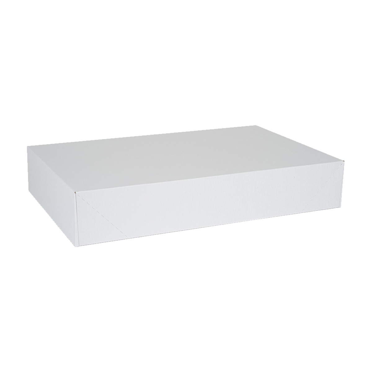 23 x 14 x 4in.