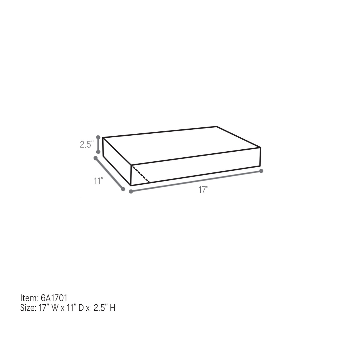 17 x 11 x 2.5in.