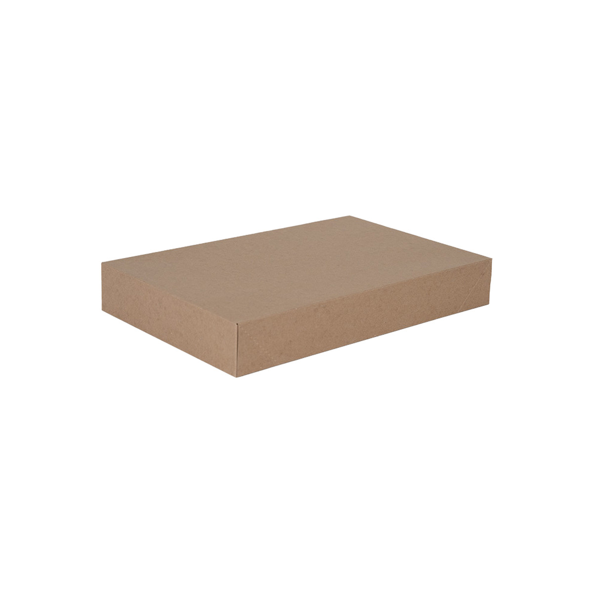 17 x 11 x 2.5in.