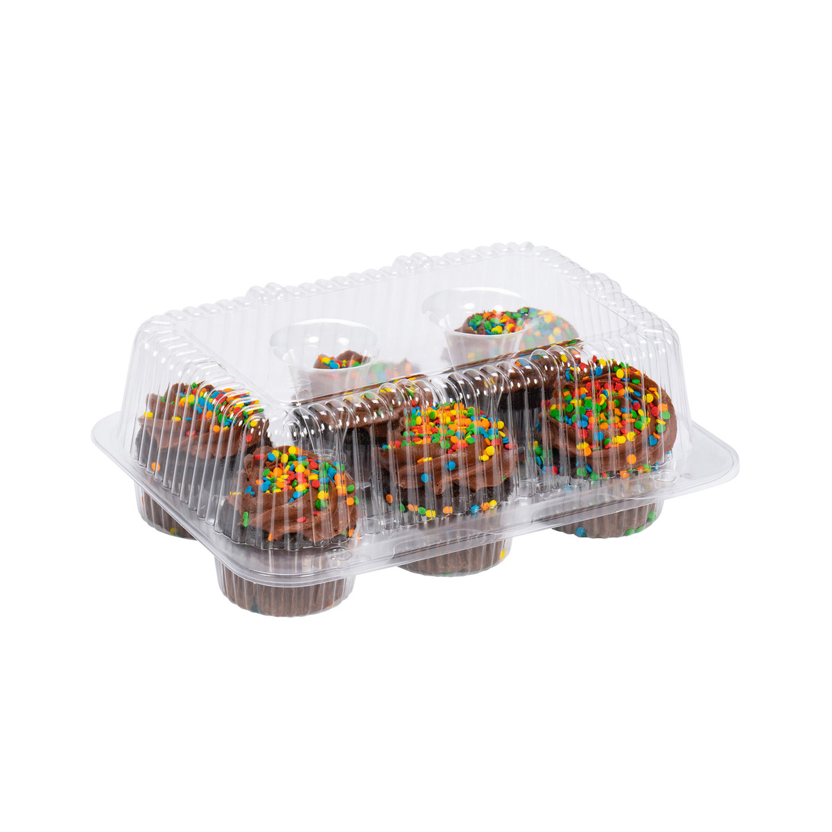 6 Reg Cupcakes - 9 x 7 x 3in.