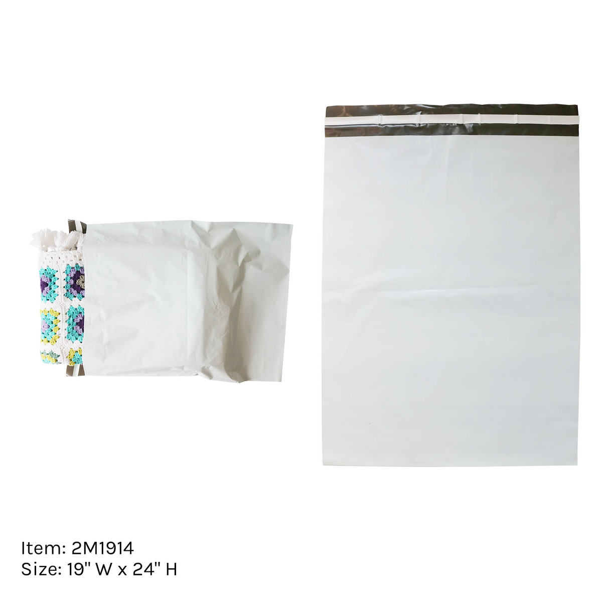 19 x 24in.