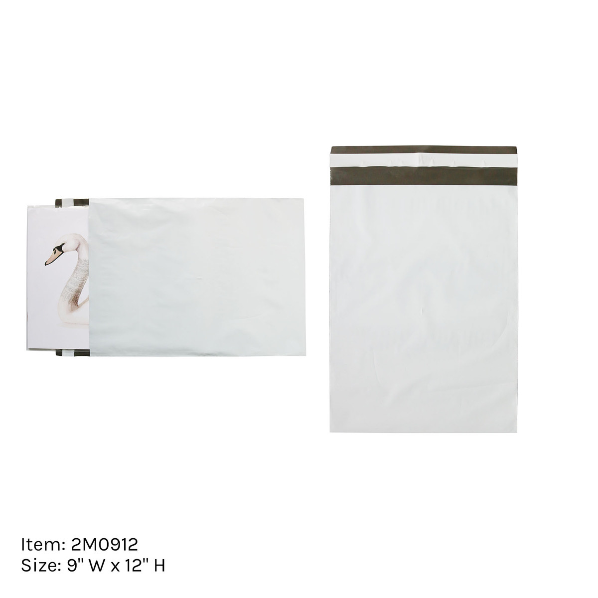 9 x 12in. 9 x 12in.
