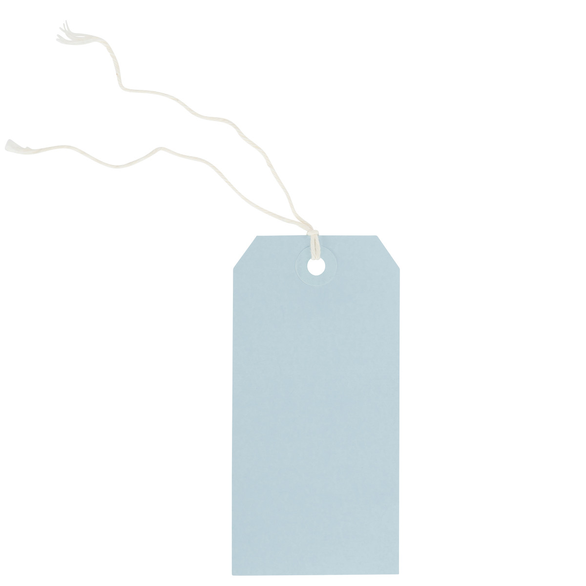 Light Blue - 2-3/8 x 4.75in.