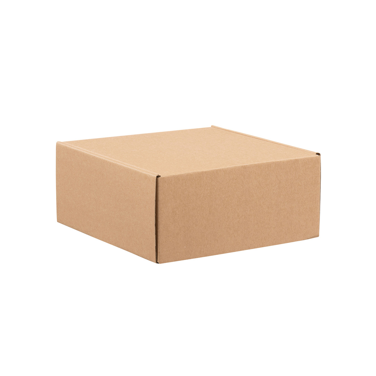 9 x 9 x 4in.