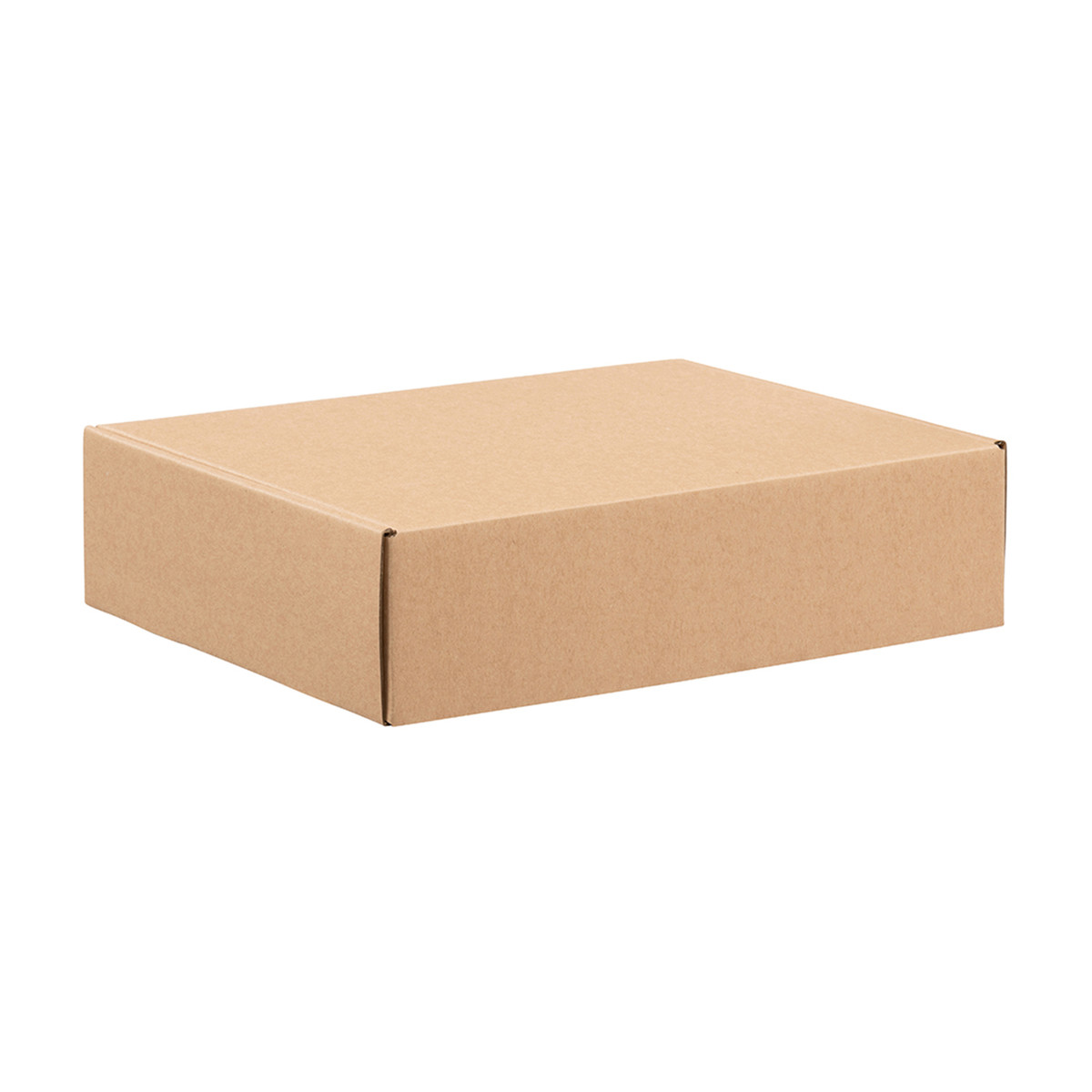 12 x 9 x 3in.