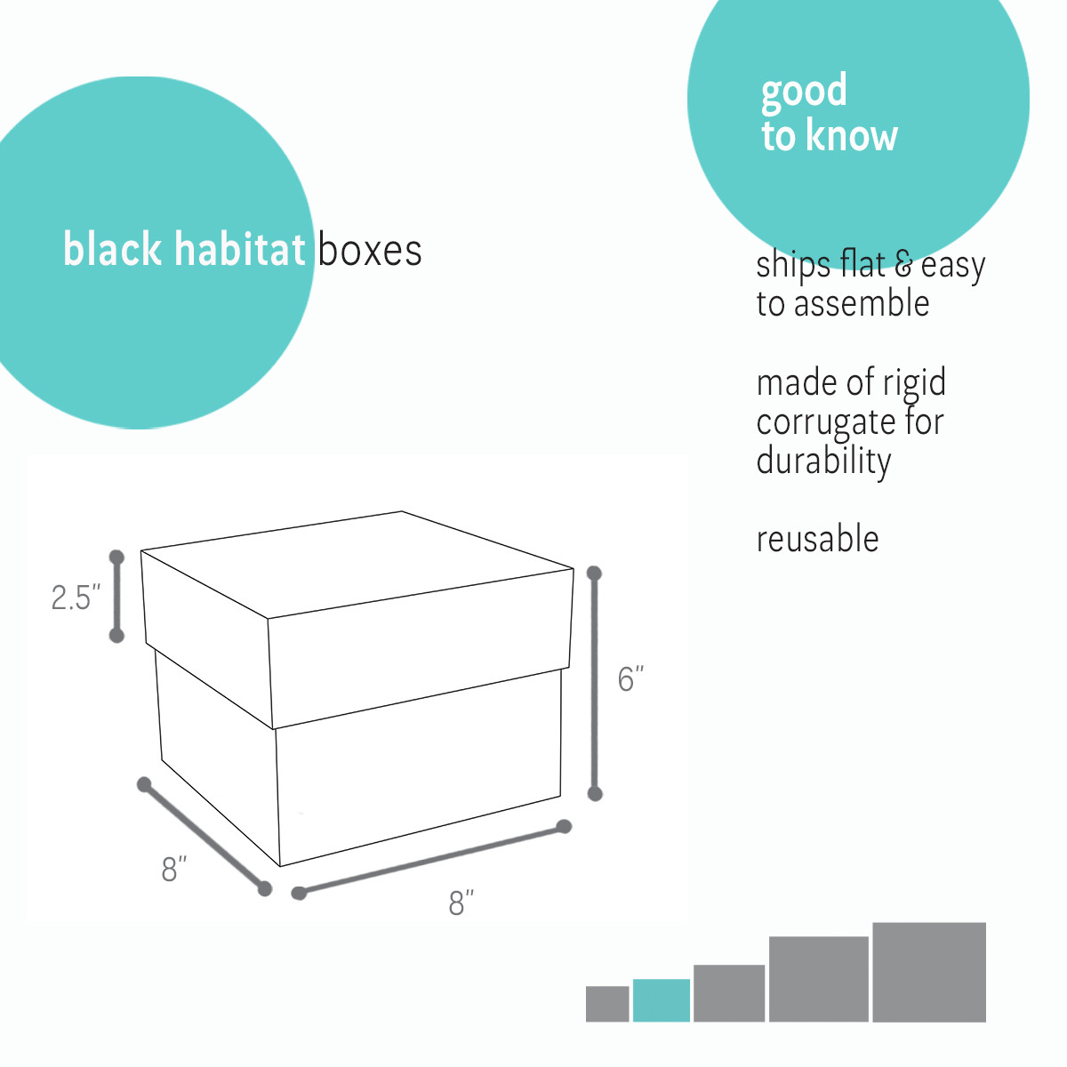 8 x 8 x 6in.