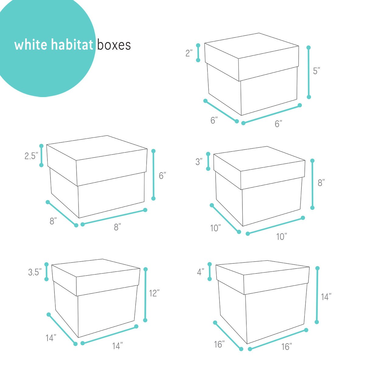 Image of White Habitat Boxes