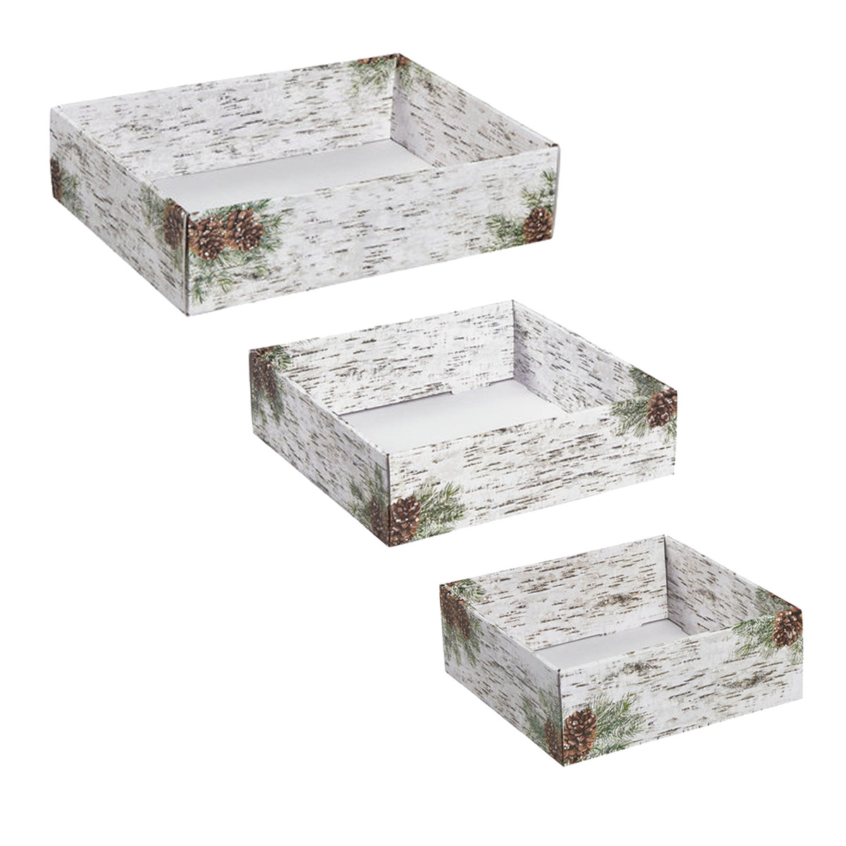 8 x 8 x 3in.