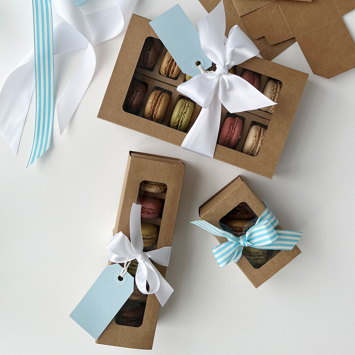 6pc Macaron Inserts - 8 x 2.5 x 0.75in.