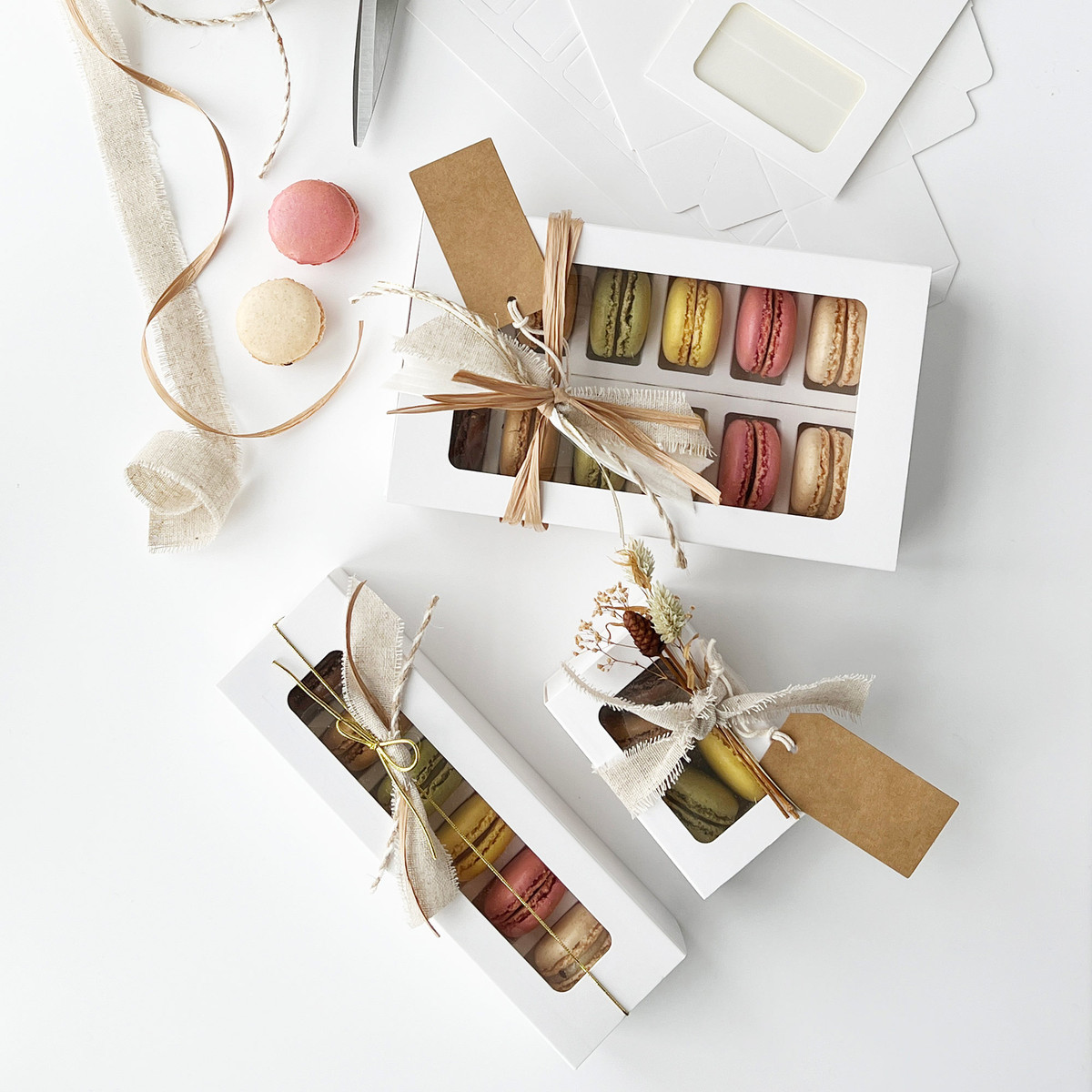 6pc Macaron Inserts - 8 x 2.5 x 0.75in.