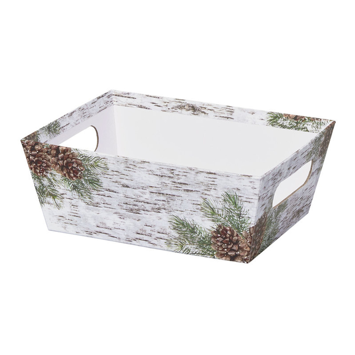 White Birch - 12 x 9.5 x 4.5in.