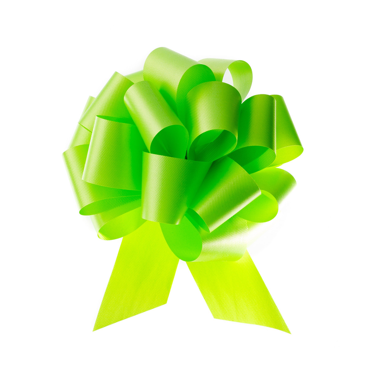 Citrus - 5.5in. Dia.