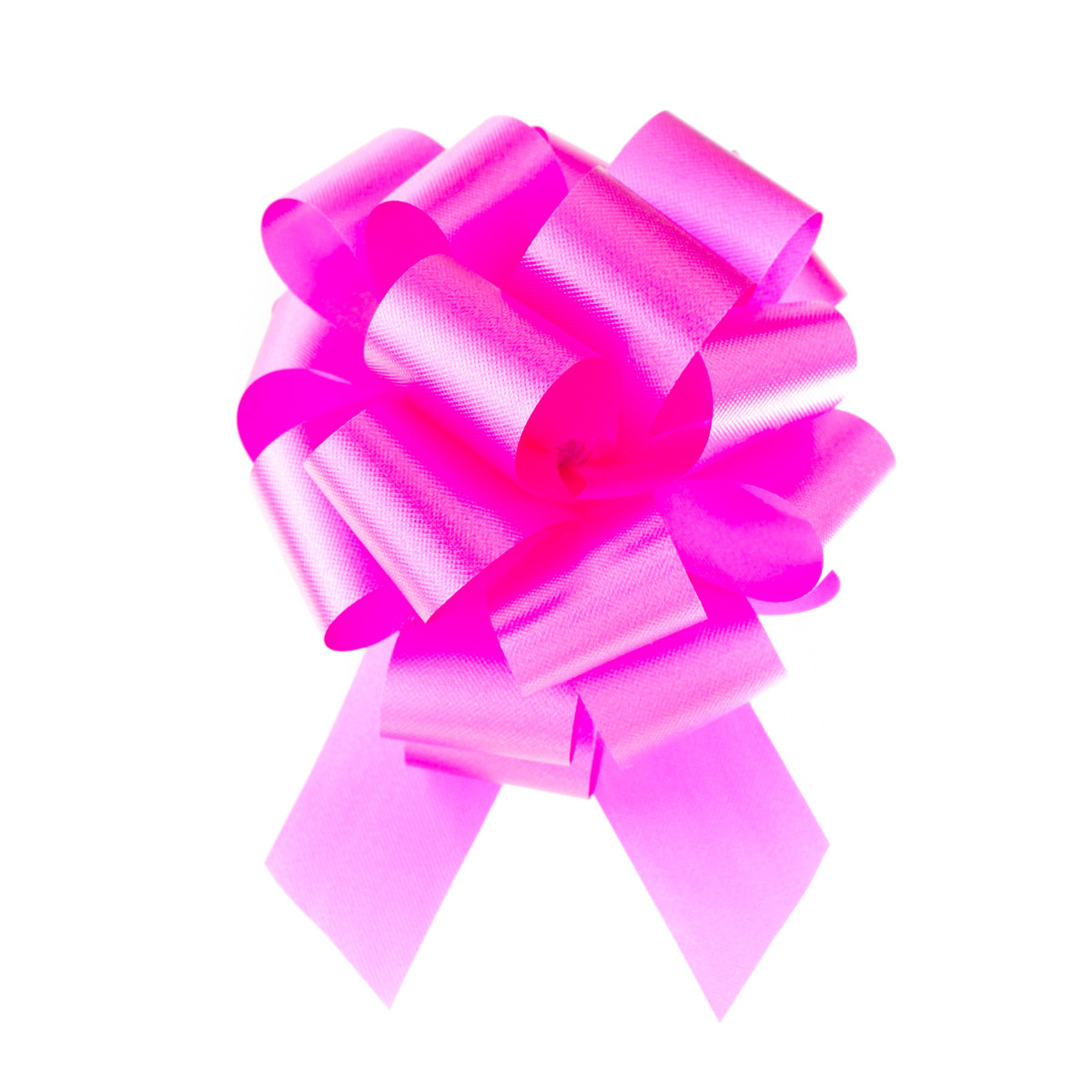 Beauty - 5.5in. Dia.