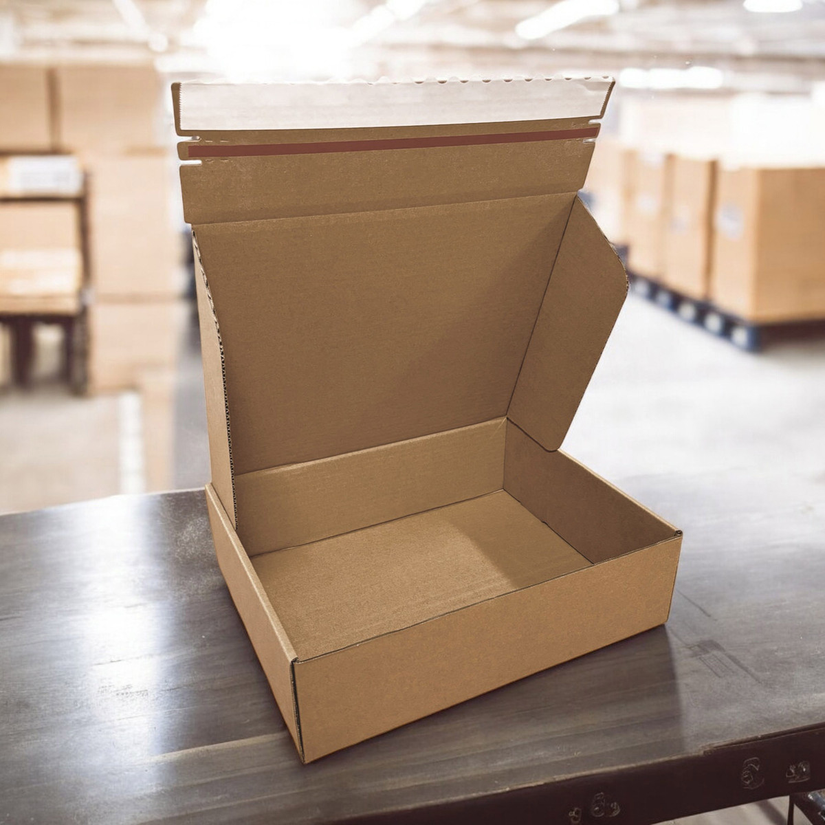 14.25 x 11.25 x 4in.