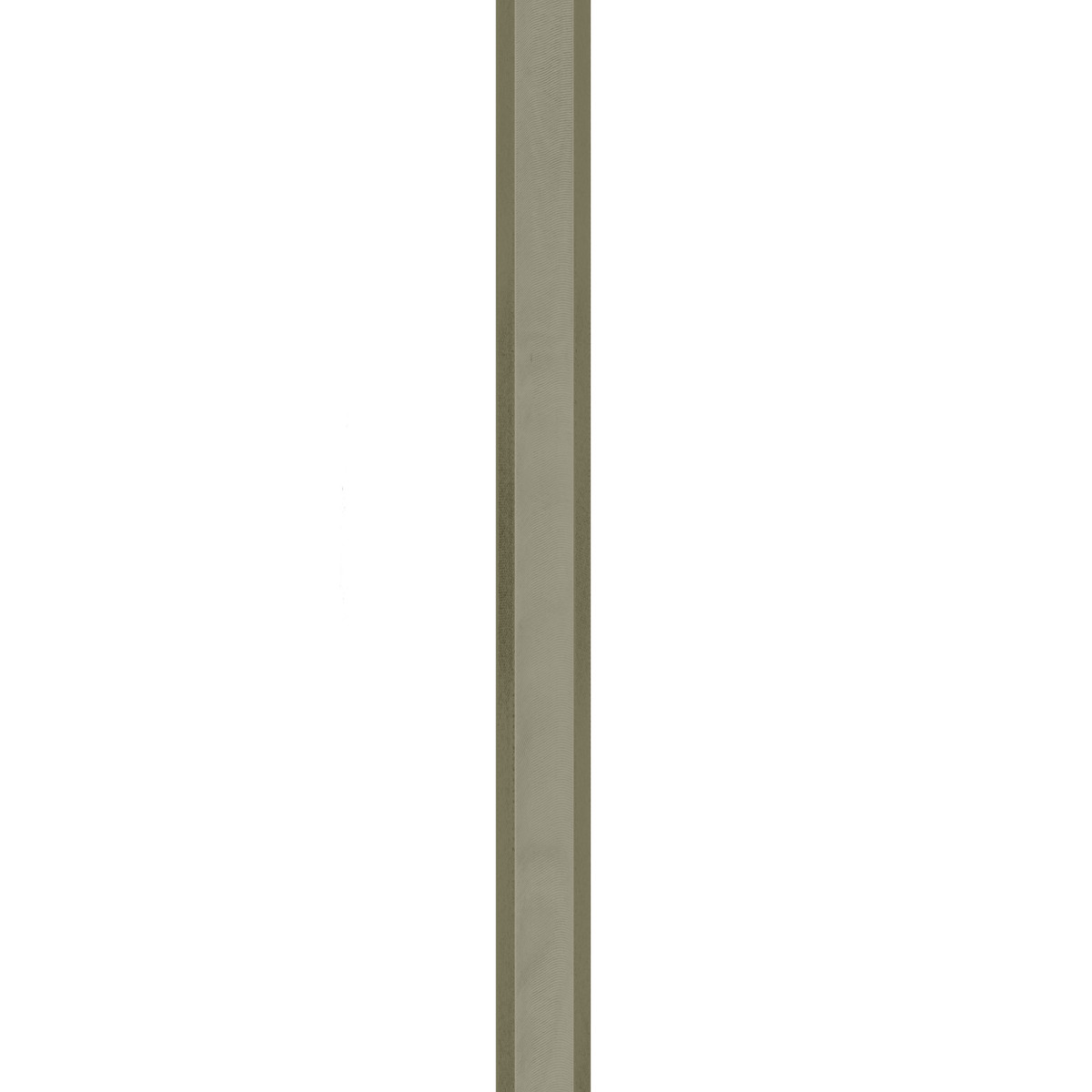 Moss - 5/8in. x 100yd