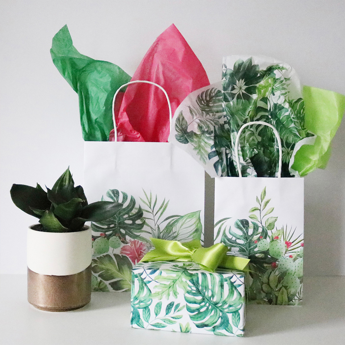 Tropical Leaves