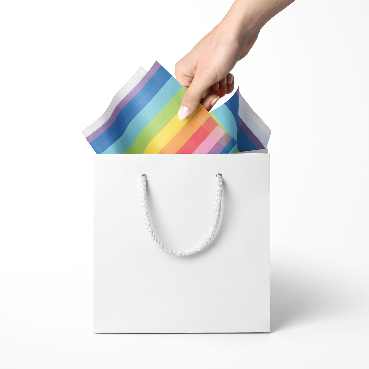 Rainbow Rainbow