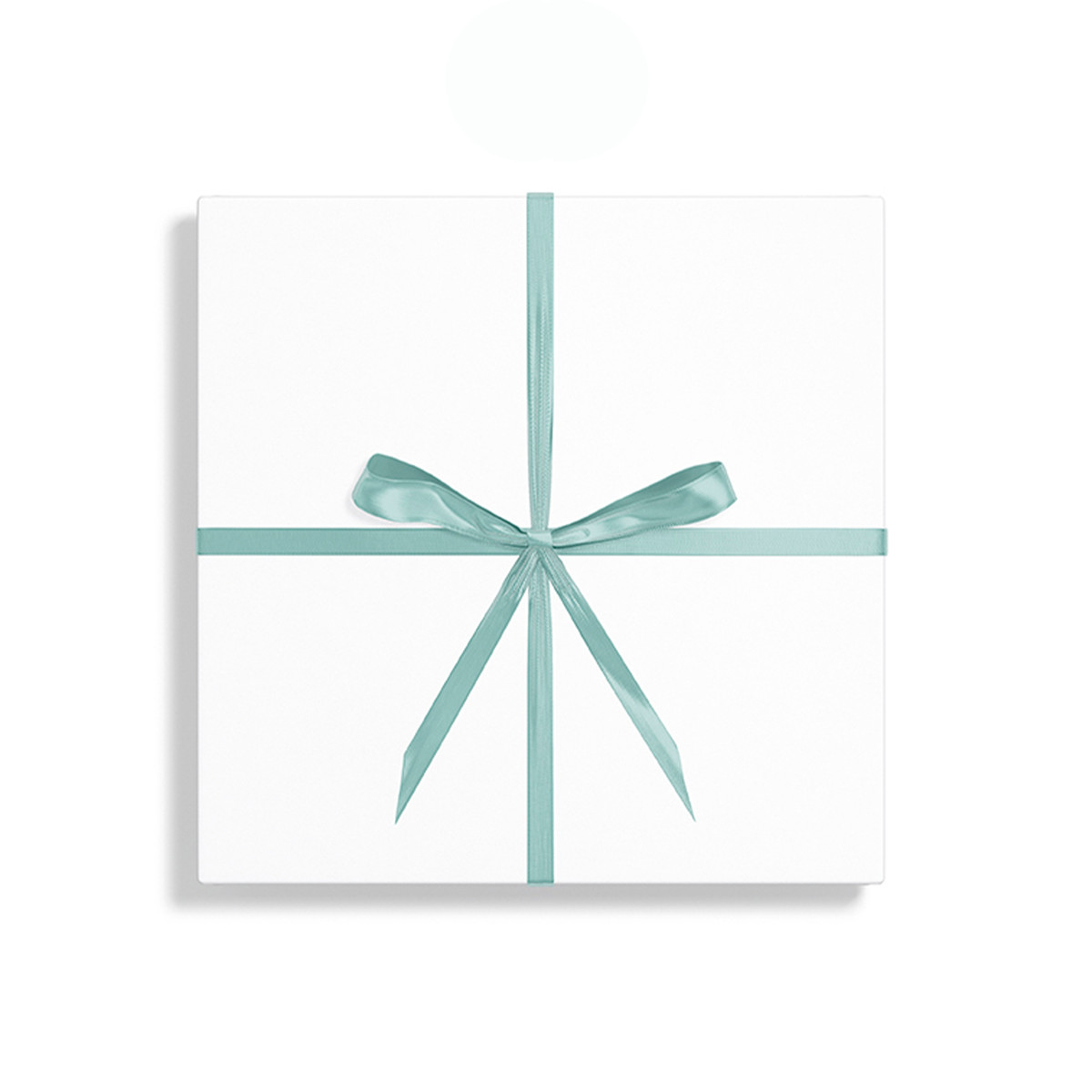 Aqua - 1/4in. x 100yd