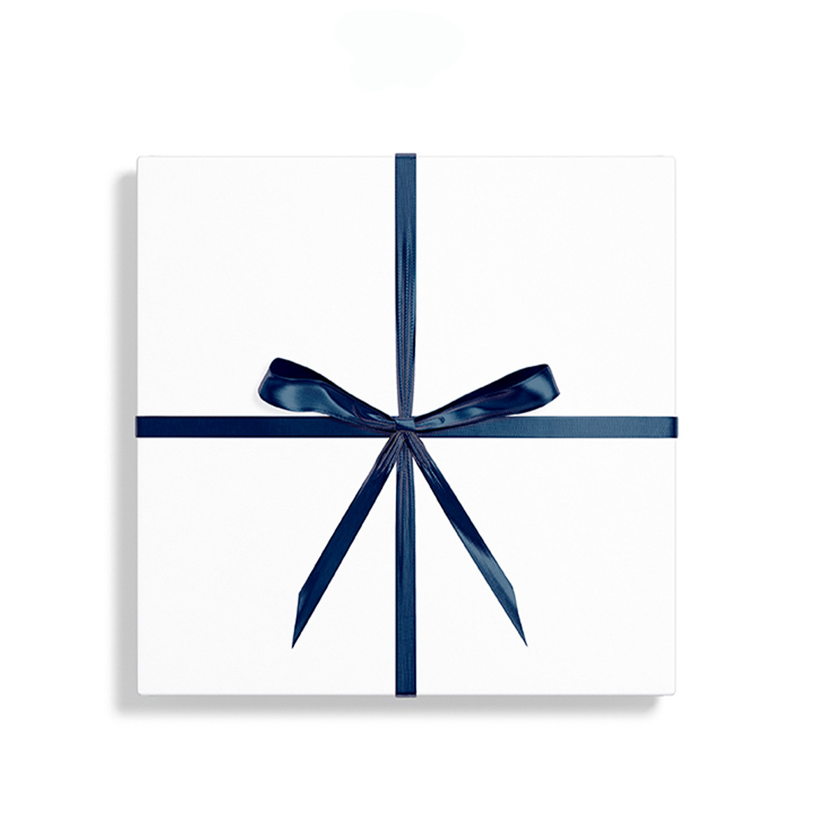 Navy - 1/4in. x 100yd