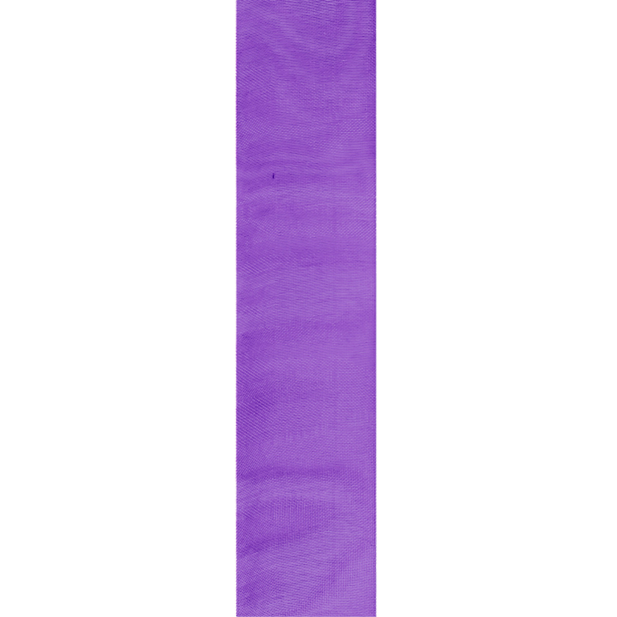 Delphinium #47
