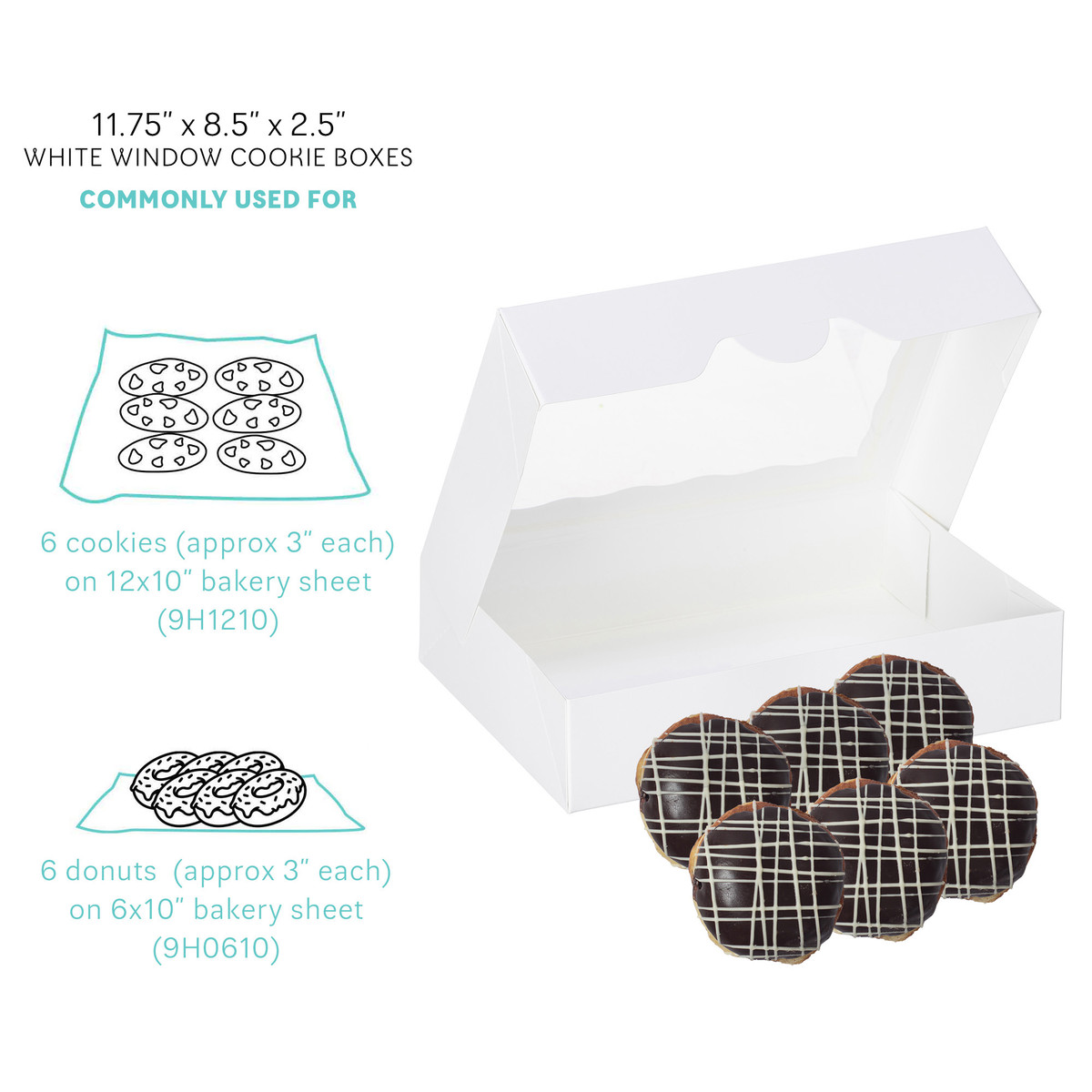 11.75 x 8.5 x 2.5in.