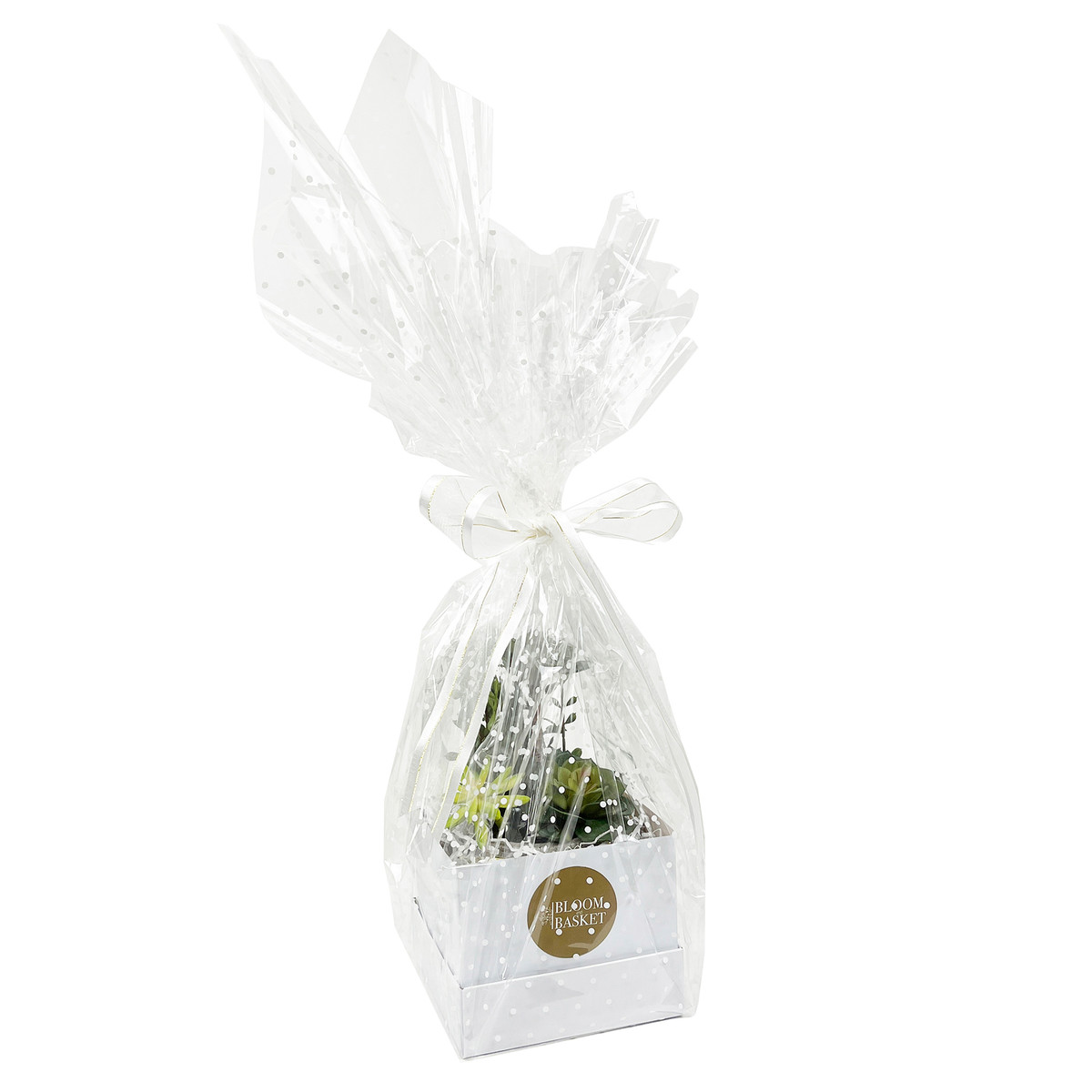 White - 40in x 100' - 1.2ml