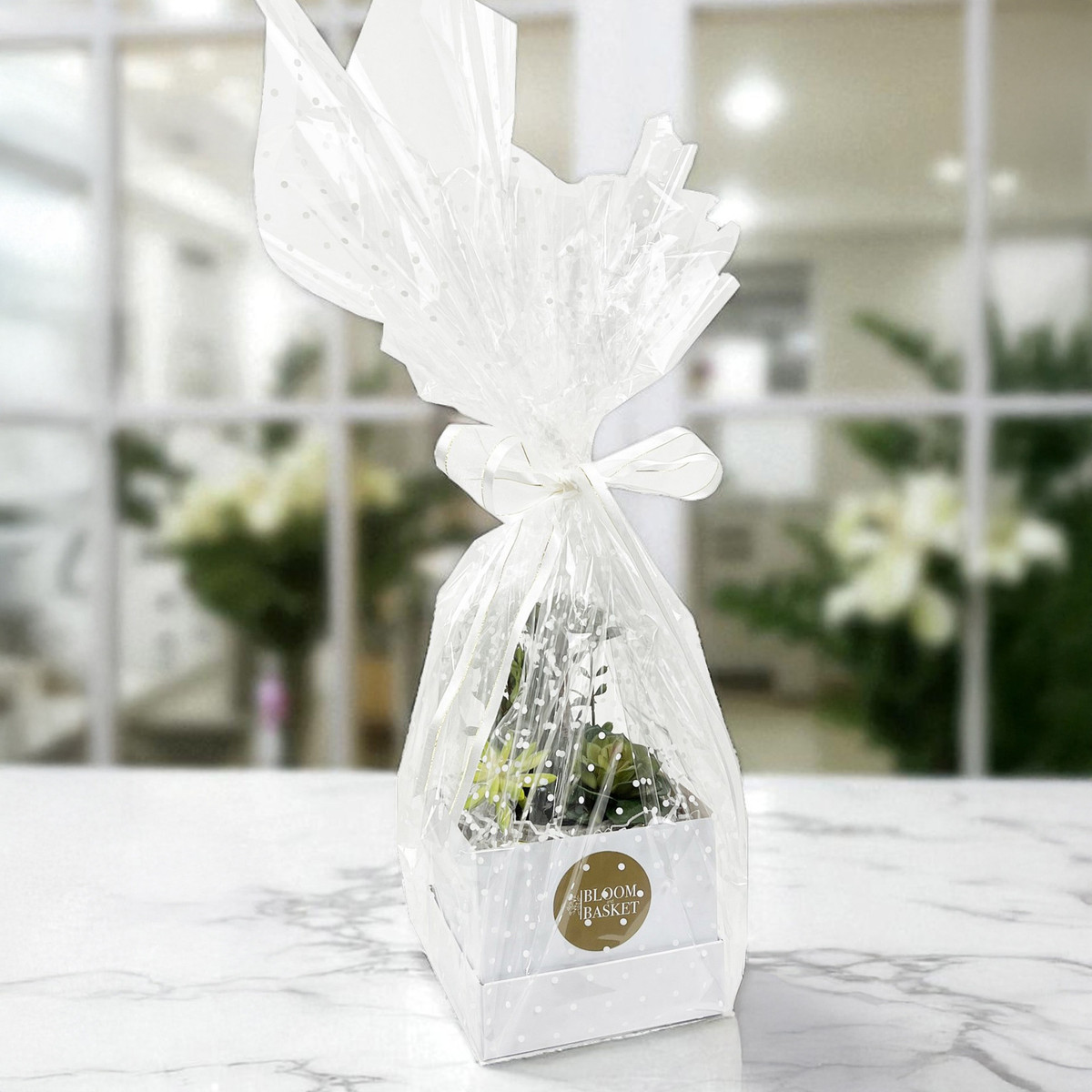 White - 40in x 100' - 1.2ml