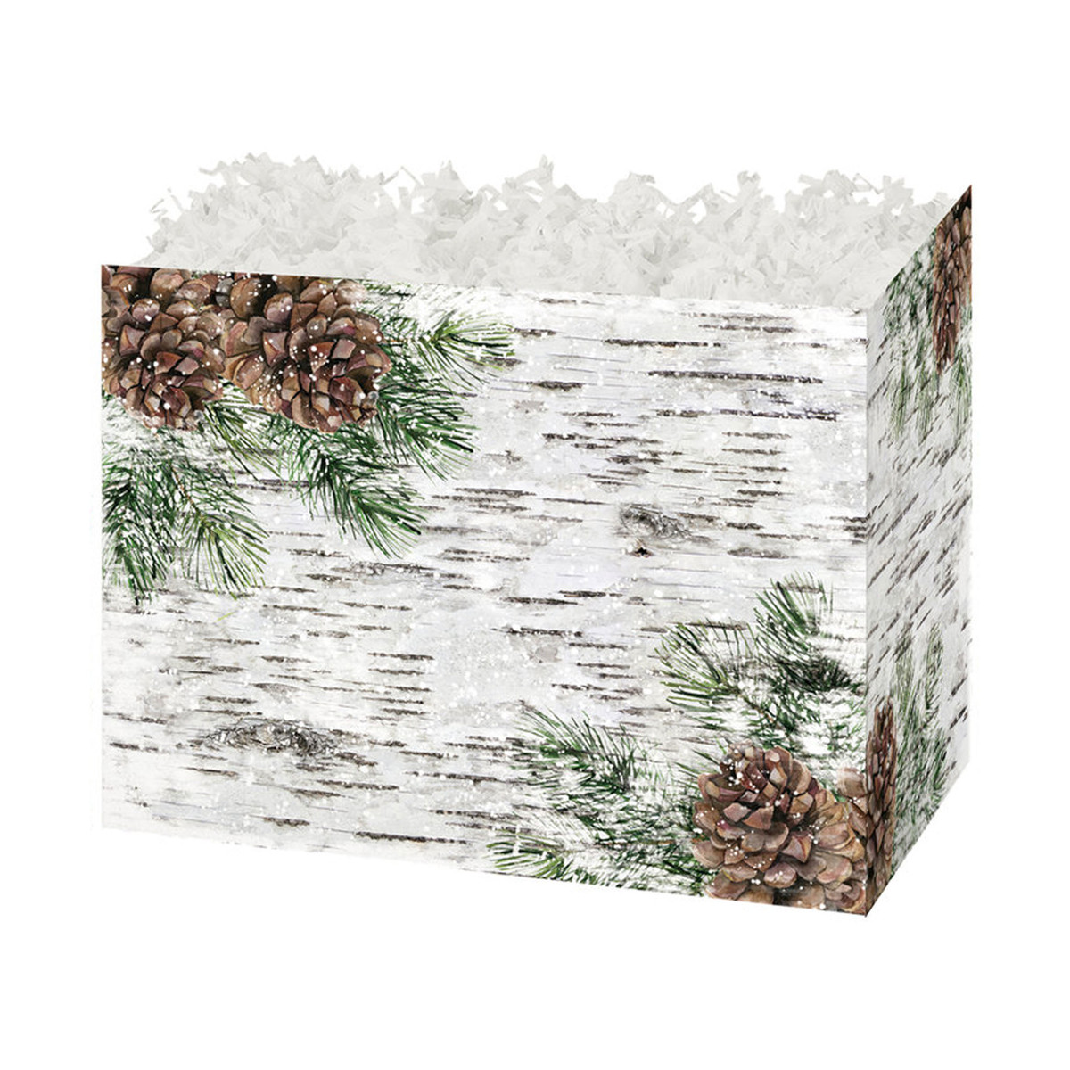 White Birch