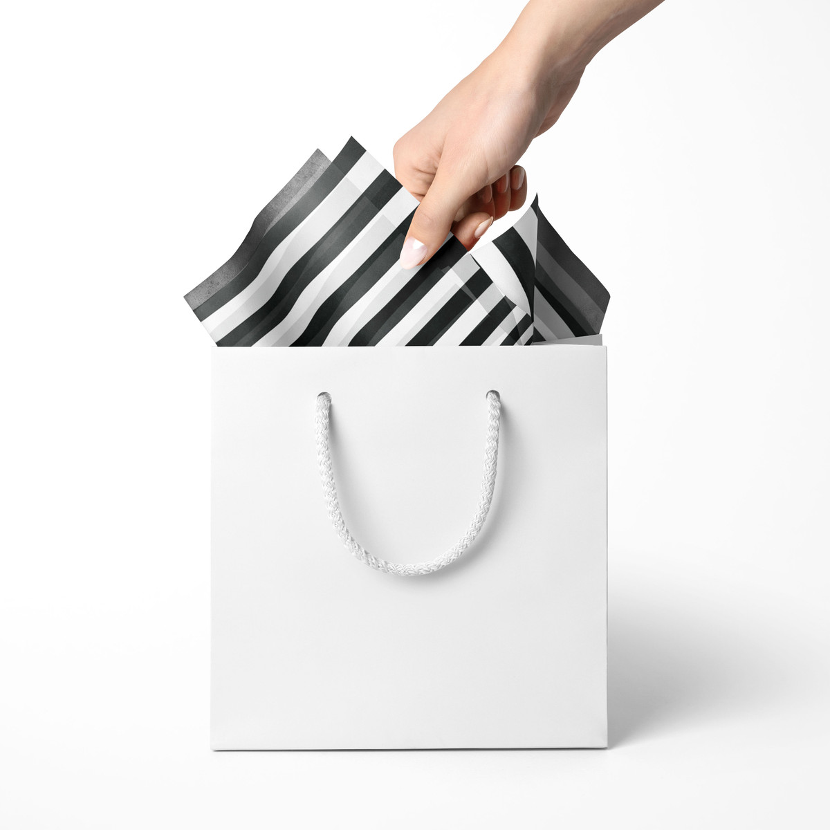 Black & White Stripe Black & White Stripe