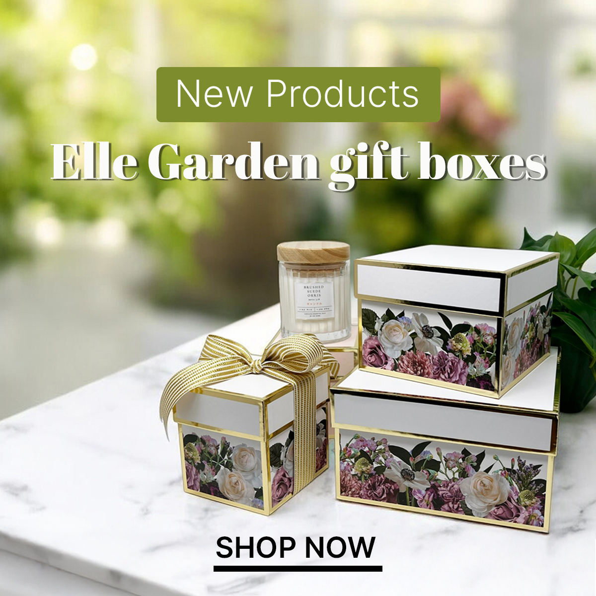 Image 61: Elle Garden Gift Boxes
