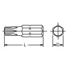 Koken 100T.32-T30H, 5/16 Hex Dr. Tamper-Resistant TORXÂ® T30H Bit - Length 32mm