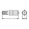 Koken 100T.32-T45, 5/16 Hex Dr. TORXÂ® T45 Bit - Length 32mm