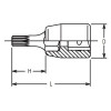 Koken 2020.28-M6, 1/4 Sq. Dr. Bit Socket XZN M6  Length 28mm