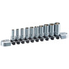 Nepros NTB2M10A, 1/4"sq. Semi-Deep Socket Set (6pt.) Metric (10pcs.)
