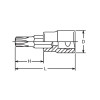 Koken 3025.38-T9 3/8 Sq. Dr. TORXÂ® T9 Bit Socket - Length 38mm