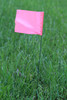 CH Hanson 15091, Stake Flags-21" Staff, 4"x5" Flag, Pink Fluorescent  100Pcs._main
