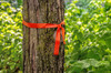 CH Hanson 17100, Flag Tape-600'x1-3/16"x4Mil Orange Fluorescent_main