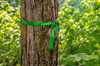 CH Hanson 17026, Flag Tape-300'x1-3/16"x2Mil Green_main