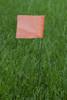 CH Hanson 15275, Stake Flags-15" Staff, 2-1/2"x3-1/2" Flag, Orange Fluorescent 10Pcs._main