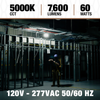 T90060_sixth