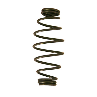 Spare Barrel Spring for 95 31 250/280