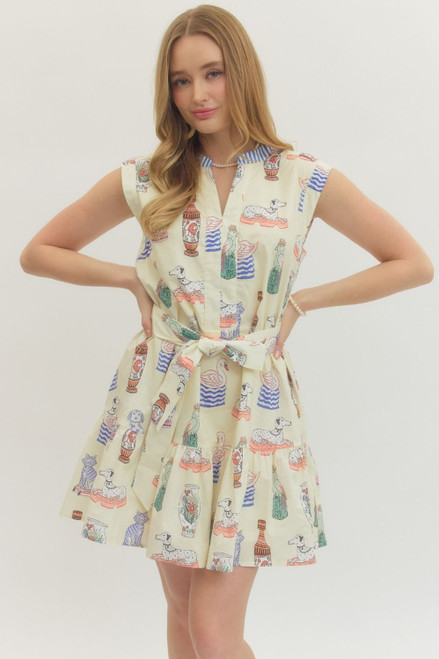 Printed whimsical print mini dress featuring split V-neck with contrast stripe binding. Self-tie belt at waist. Side pockets. Lined. Woven. Non-sheer. Lightweight.