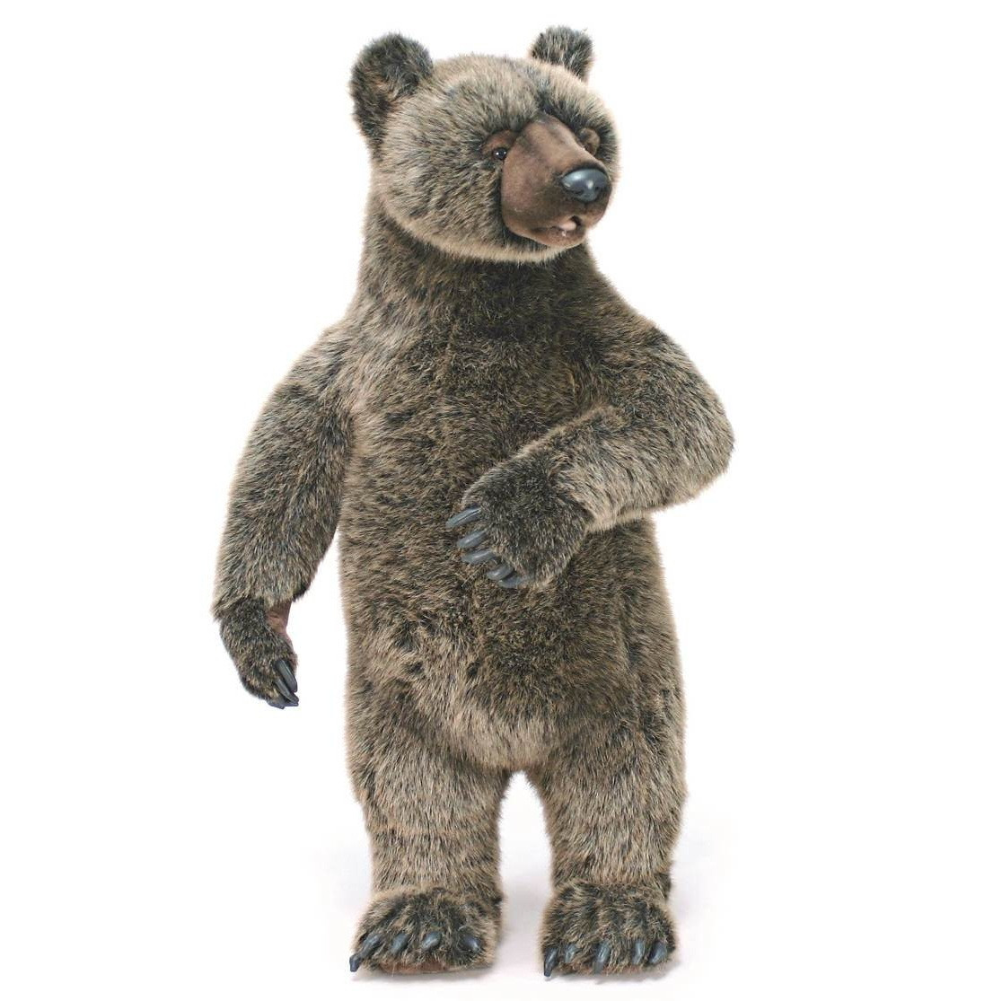 VM anatomy Grizzly Bear 1:12 クマ　熊　フィギュア AnatomyTools