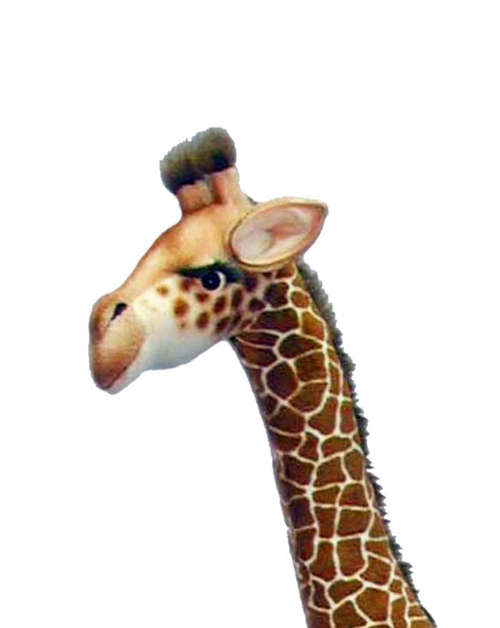 Hansa Giraffe, Large 64''