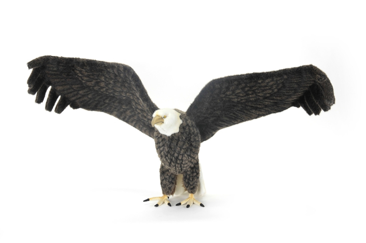Hansa American Eagle, Life Size 25'' - Endeavour Toys