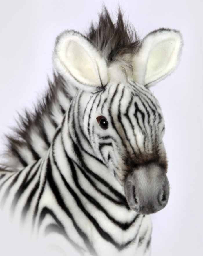 Hansa シマウマ Portraits of Nature art 26009 Hansa Grevy's Zebra, Medium 14